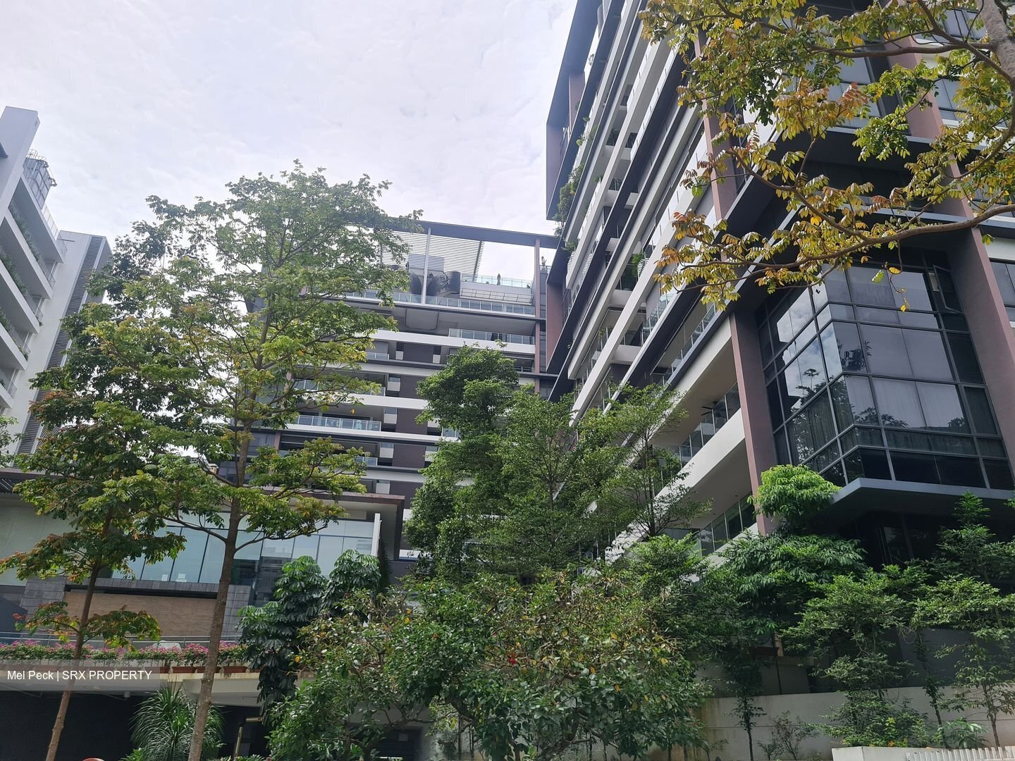 Treasure On Balmoral (D10), Apartment #456251571